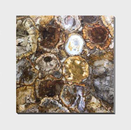Fossil wood