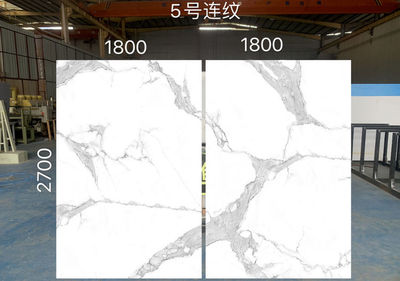 Fish maw white No. 5 2700X1800