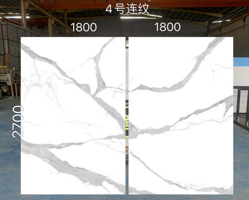 Fish maw white No. 4 2700X1800