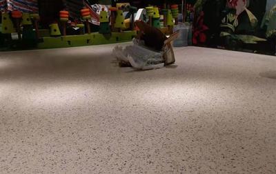 佛山艾米教育中心案例6