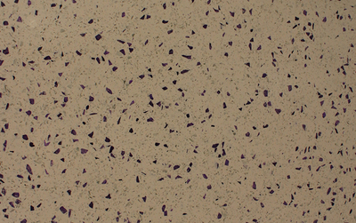 紫钻（高仿石英石）